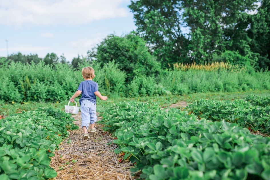 Der Garten der Kindheit