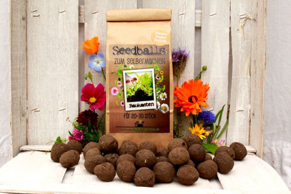 Bienenstaatsbankett Seedball Baukasten