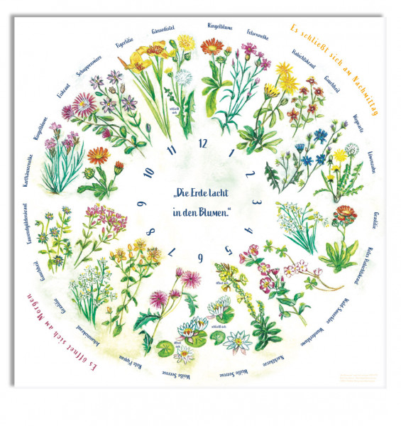 "Die Blumenuhr"