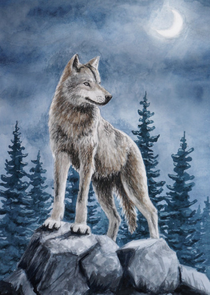Der Wolf Postkarte