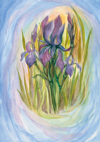 Iris Postkarte