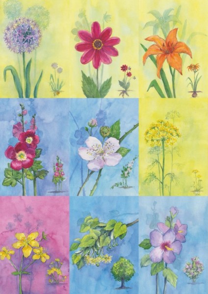 18 Bienen-Sommerblüten-Karten